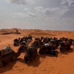 Ruta Marruecos 5 días Fez Marrakech | Tour Marruecos 5 días desde Fez a Marrakech | Itinerario Marruecos 5 días desde Fez | Circuito de Fez.