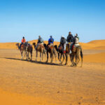 Viaje al desierto desde Fez a Marrakech | Excursión Fez Merzouga Marrakech 3 días | desierto del Sahara desde Fez 3 días | Fez Marrakech Tour