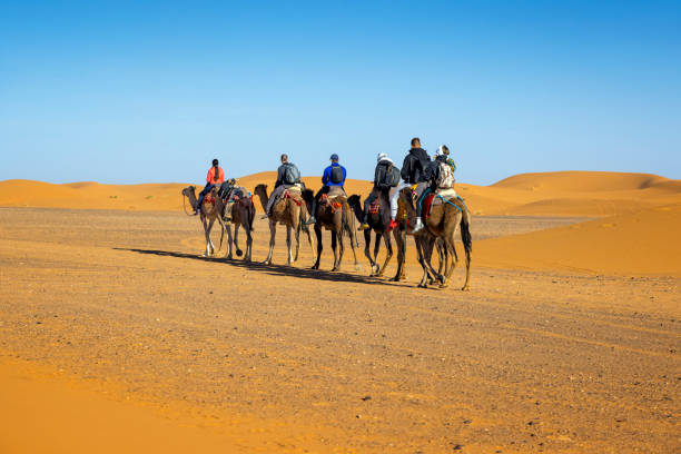 Viaje al desierto desde Fez a Marrakech | Excursión Fez Merzouga Marrakech 3 días | desierto del Sahara desde Fez 3 días | Fez Marrakech Tour
