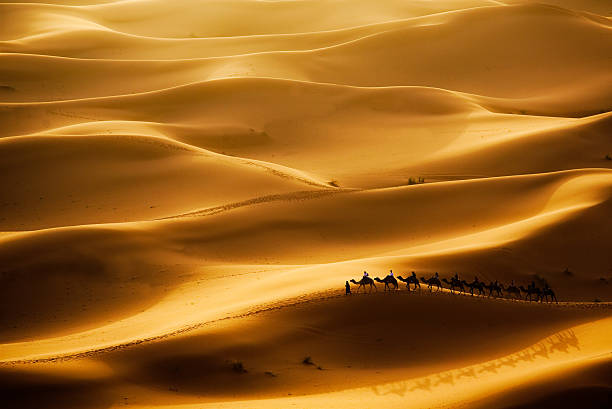 Ruta de 5 días de Marrakech a Fez | Tour 5 días de Marrakech a Fez | Excursión 5 días | viaje de 5 días por Marruecos desde Marrakech a Fez.