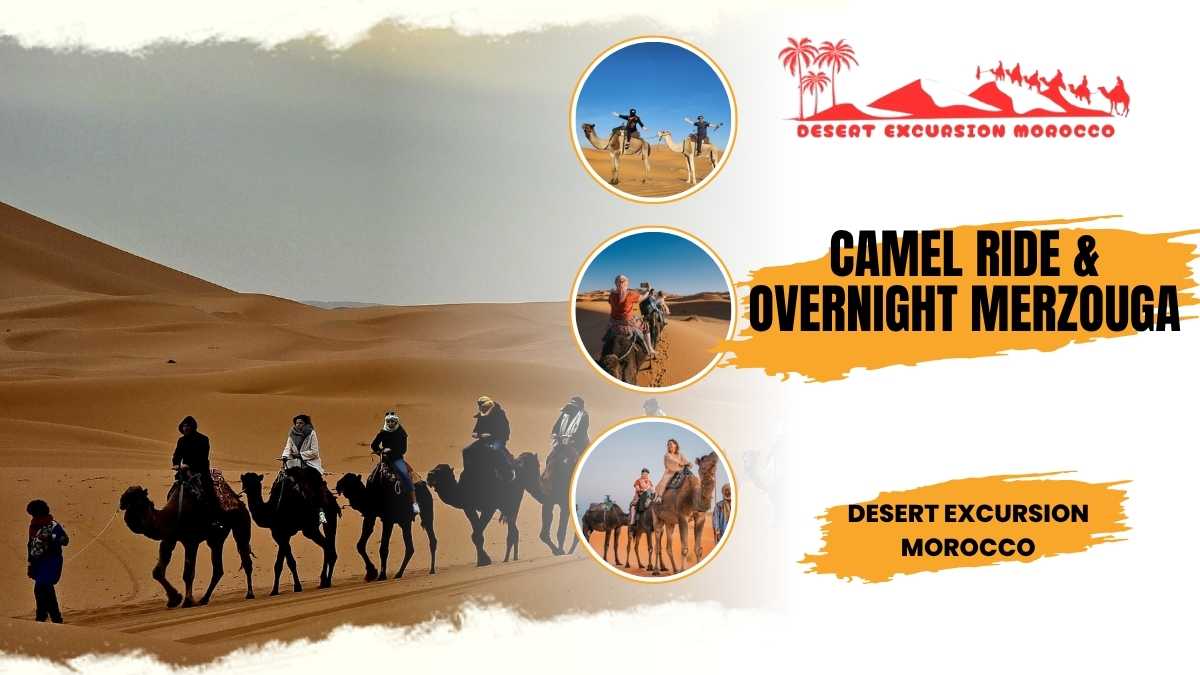 Camel Ride in Merzouga Desert | Camel excursion in Merzouga | Camel tour through the Merzouga desert | Night in a camp with camels.
