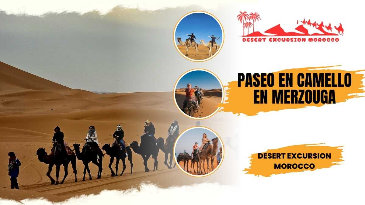 Paseo en camello por el desierto de Merzouga, Excursiones en camello por Merzouga, actividad de excursiones en camello por Merzouga.