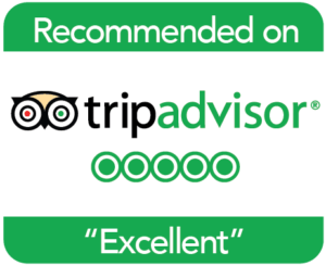 TripAdvisor 5-star rating for Desert Excursion Morocco